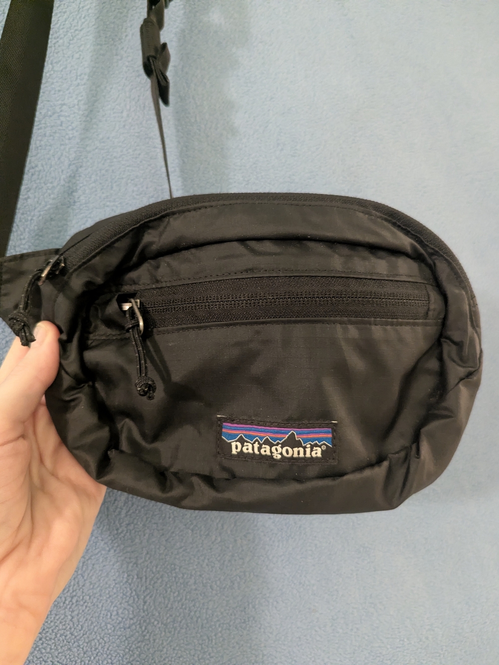 Patagonia Fanny Pack